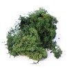 INERRA Finland Moss - Dark Green - Reindeer Moss Craft