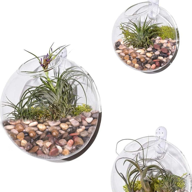 Pulovin 5 Pound Decorative Rocks for Planters, 1"- 1 1/2",