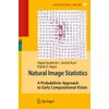 Natural Image Statistics: A Probabilistic Approach to Early Computational Vision.