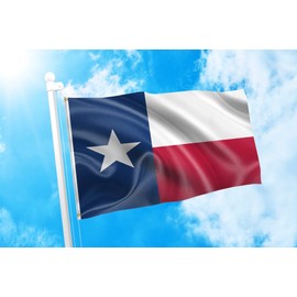 DMSE Texas Lone Star State Flag 4X6 Ft Foot 100% Polyester 100D Flag UV Resistant (4' X 6' Ft Foot)