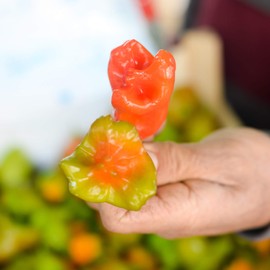 Pepper Seeds - Hot - Mushroom Red - 4 Oz ~20,000 Seeds - Capsicum annuum - Farm & Garden Vegetable Seeds - Non-GMO, Heirloom, Open Pollinated, Annual