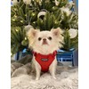 Fluffy Tailers Luxury Red Velvet Dog Harness No Pull Adjustable
