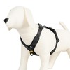 OllyDog Alpine Reflective Comfort Harness, No Pull Dog Harness with