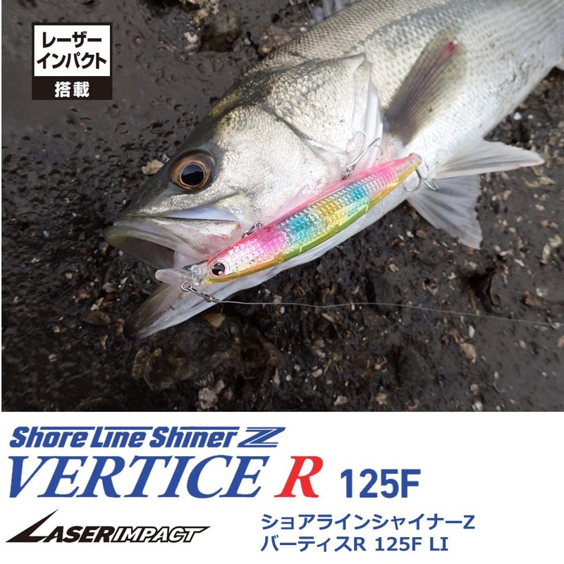 DAIWA Shoreline Shiner Z Vertis R125F-LI Chart Back Lure with