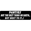 PANTIES NOT THE BEST THING ON EARTH... BUT NEXT TO IT...! HELMET STICKER
