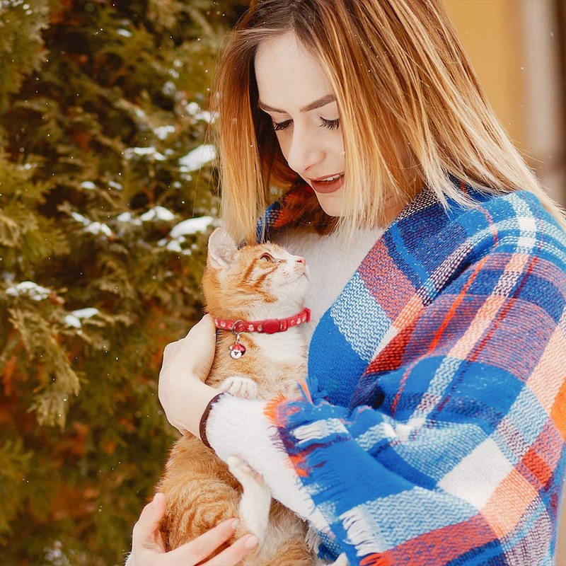 3PCS Christmas Breakaway Cat Collars with Bell Safe and Adjustable