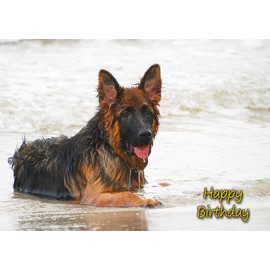 German Shepherd Dog Birthday Greeting Card
