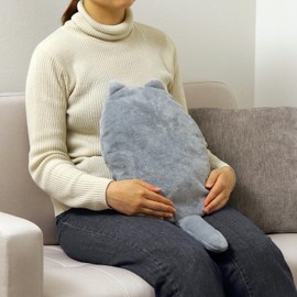 Toyo Case YPC30-FR-GY for Friends 3L Cat