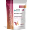 Fancy Pets MS Colágeno Hidrolizado para Perros y Gatos 200g