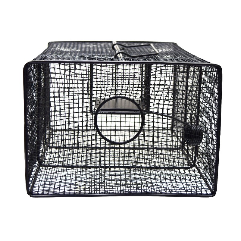Sakae Hills Black Box A Type No. 102 NZ-2