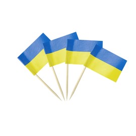 Ukraine Flag Ukrainian Flag, Small Mini Ukraine Toothpick Flags for Food, Cupcakes, Cocktails, Appetizers, Bar Party Decorations