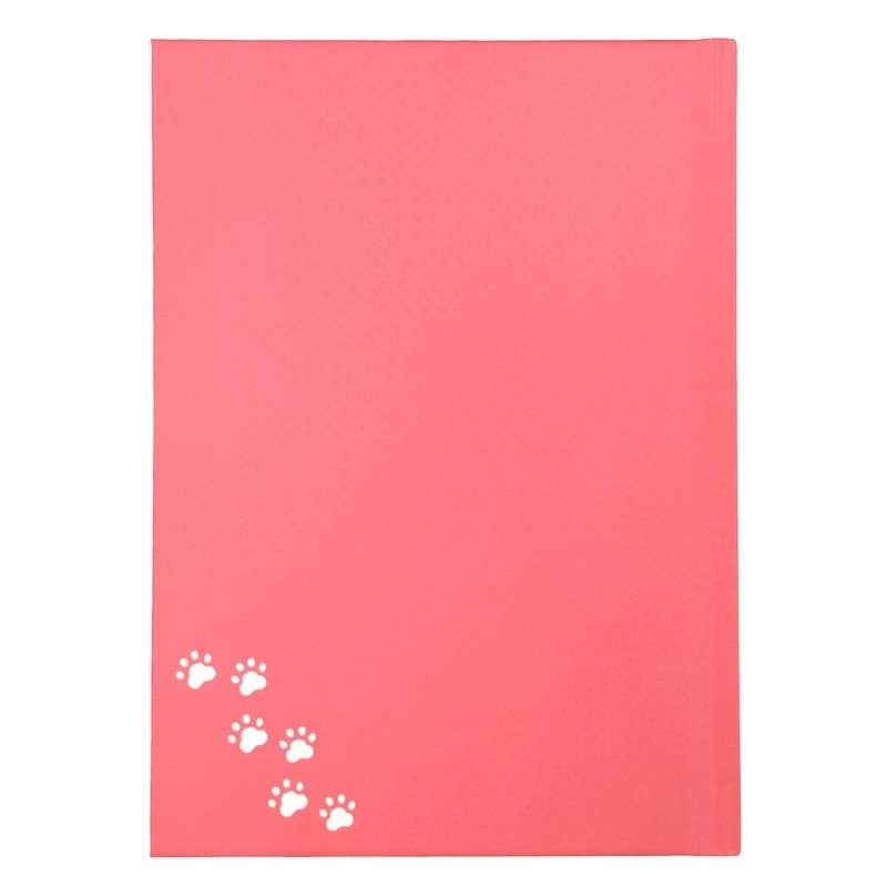 Gakken Staful Birthday Card, Happy Birthday Masayuki Oki Cat B10045