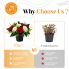 GeekLeaf 2 Pcs Artificial Flowers for Graves, Grave Flowers Pots