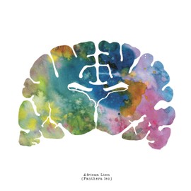 J. Sayuri African Lion Brain Art - 8.5" x 8.5" Animal Brain Artwork - Thoughtful Neurology, Neuroscience, Psychology Gifts - Great Medical Graduation Gifts