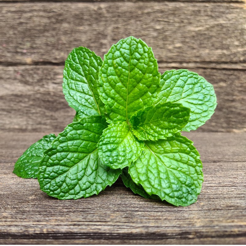 Rani Fresh Mint (Pudina) Leaves 2oz - 4oz,Pack of 2