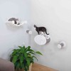 TRIXIE Wall Mounted Cat Lounge Set, Hammock and Condo with