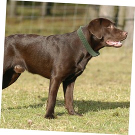 BESPORTBLE 2pcs Sheep Dog Collar Livestock Collar Sheep Hauling Leash Safe Comfortable for Cow Ox Horse