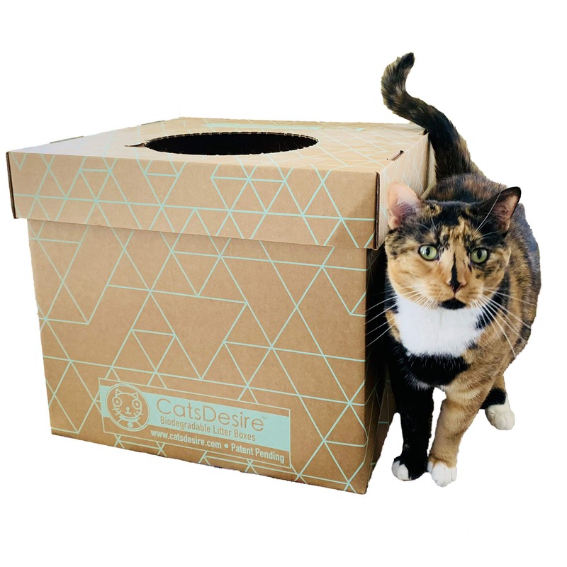 Cats Desire Litter Box - Disposable Litter Box Pack (6