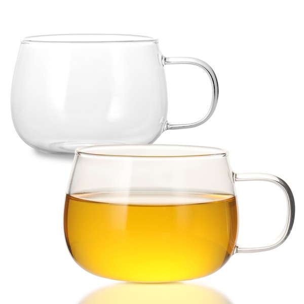 GURUDAR Glass Tea Cups Set of 2, Clear Borosilicate Glass