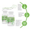 HEALTHADDICTION - 2 Pack Probióticos y Prebióticos - Fórmula Avanzada