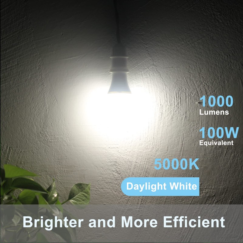 Qualilux Dusk to Dawn Light Bulbs 1000 Lumen, Daylight, 75W
