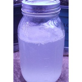 WheyWorks LAB's • Lactic Acid Bacteria • 100% Organic Soil Drench & Foliar Feed • 8 Oz