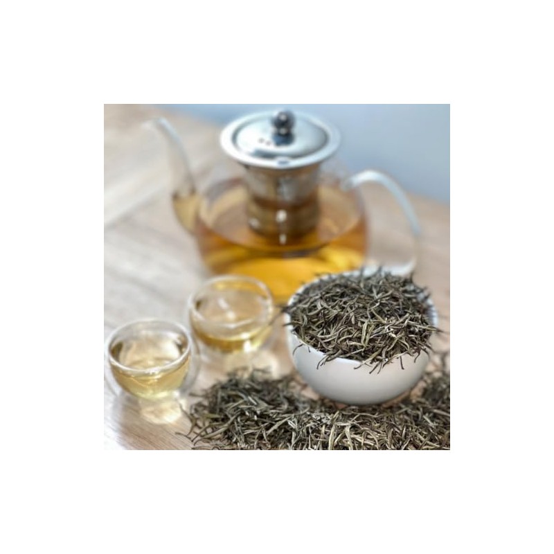 Silver Needles Tea | Organic | True Leaf Tea |