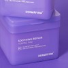 Dermapump 리필물광토닝 수딩 리페어 토닝 패드 R4 70매 리필 Refill