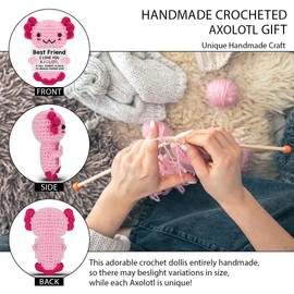 VKYN Emotional Support Axolotl Support Crochet Gifts, Daughter Gifts from Mom with Positive Card Home Office Desk Decor