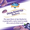 Blue Diamond Almonds, Classic Blueberry Flavored Sweet Snack Nuts perfect