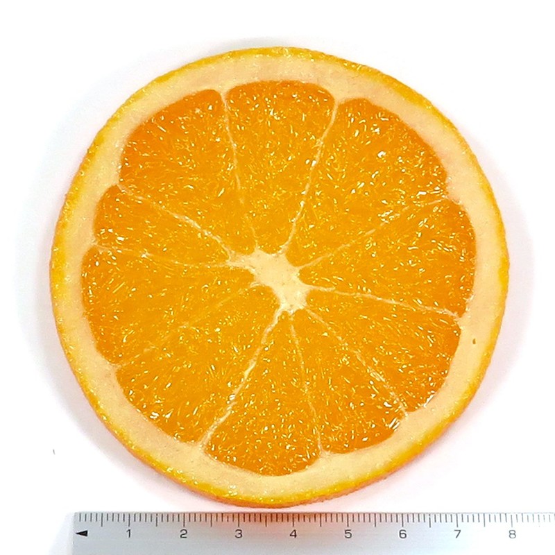 Eat And It Seems Like an Fruit Coasters Orange Small