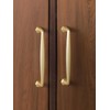 JIASENBAO 5 Pack Gold Cabinet Pulls 5" Hole Center Brushed
