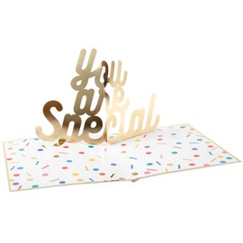 You are Special YYBS-6 Greeting Life Book, Colored Paper with Stickers, Word Pop-up