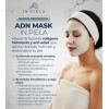 Adn Mask Colageno Con Secretoma, Exosomas Y Pdrn Salmón 4hrs