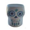 Don Julio Calaca Skull Jarritos & Palmoa Mug - Limited