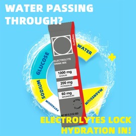 GCYYSIQS 20 Sticks Electrolytes Powder Packets,4 Flavors Electrolyte Drink Mixes with Lemon,Sweet Orange, Raspberry, Peach,Suitable for Ketogenic Diet, Vegan电解质粉