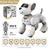 Smart Robots Dog Machine Toy, USB Rechargeable Electric Rc Robotics