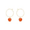 Carnelian Raw Nugget Hoop Earrings in 14k Gold Fill