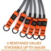 Zeyfon Resistance Bands, 300lbs Heavy Exercise Bands with Handles, Workout