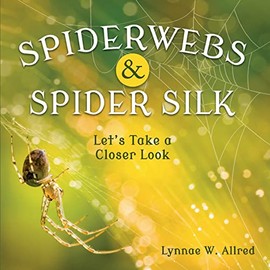 Spiderwebs and Spider Silk: Letâs Take a Closer Look