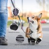 Calcetines Antideslizantes para Perros, Zapatos para Perros, Talla M