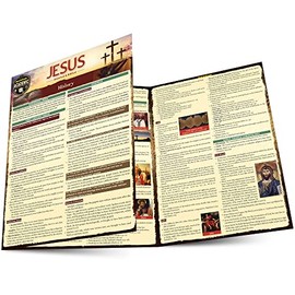 Jesus - Historical & Biblical: a QuickStudy Laminated Reference Guide (Quickstudy Reference Guide)