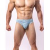 WINDAY Men's Briefs Mesh Low Rise Bikini Briefs Soft Breathable