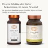 Liver Active 5-in-1 Capsules (60 Pieces) Choline, Milk Thistle, Dandelion,
