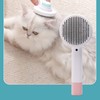 Pet Slicker Brush 2 in 1 Detangling Self Cleaning Floating