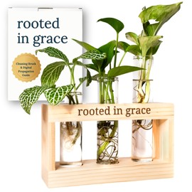 Plant Propagation Stations, Rooted in Grace: Plant Cutting Holder w/Propagation Vases for Plants, Unique & Encouraging for Women, Fun Indoor Planters, Christian Merch, Home Decor