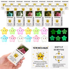 Cinnvoice 36 Sets Team Building Gifts Bulk Employee Appreciation Gifts Small Emotional Star Gifts Inspirational Mail Box Breathing Gifts Thank You Gifts for Staff Coworkers Teacher Family Friends