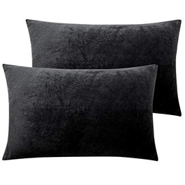 NTBAY Zippered Velvet Queen Pillowcases, 2 Pack Super Soft and Cozy Luxury Solid Color Pillow Cases, 20 x 30 Inches, Black