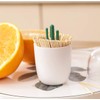 3D Cute Style Toothpick Dispenser, Toothpick Storage Box (Cactus)