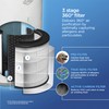 Clorox Medium Room Air Purifier True HEPA Replacement Filter, 1,000